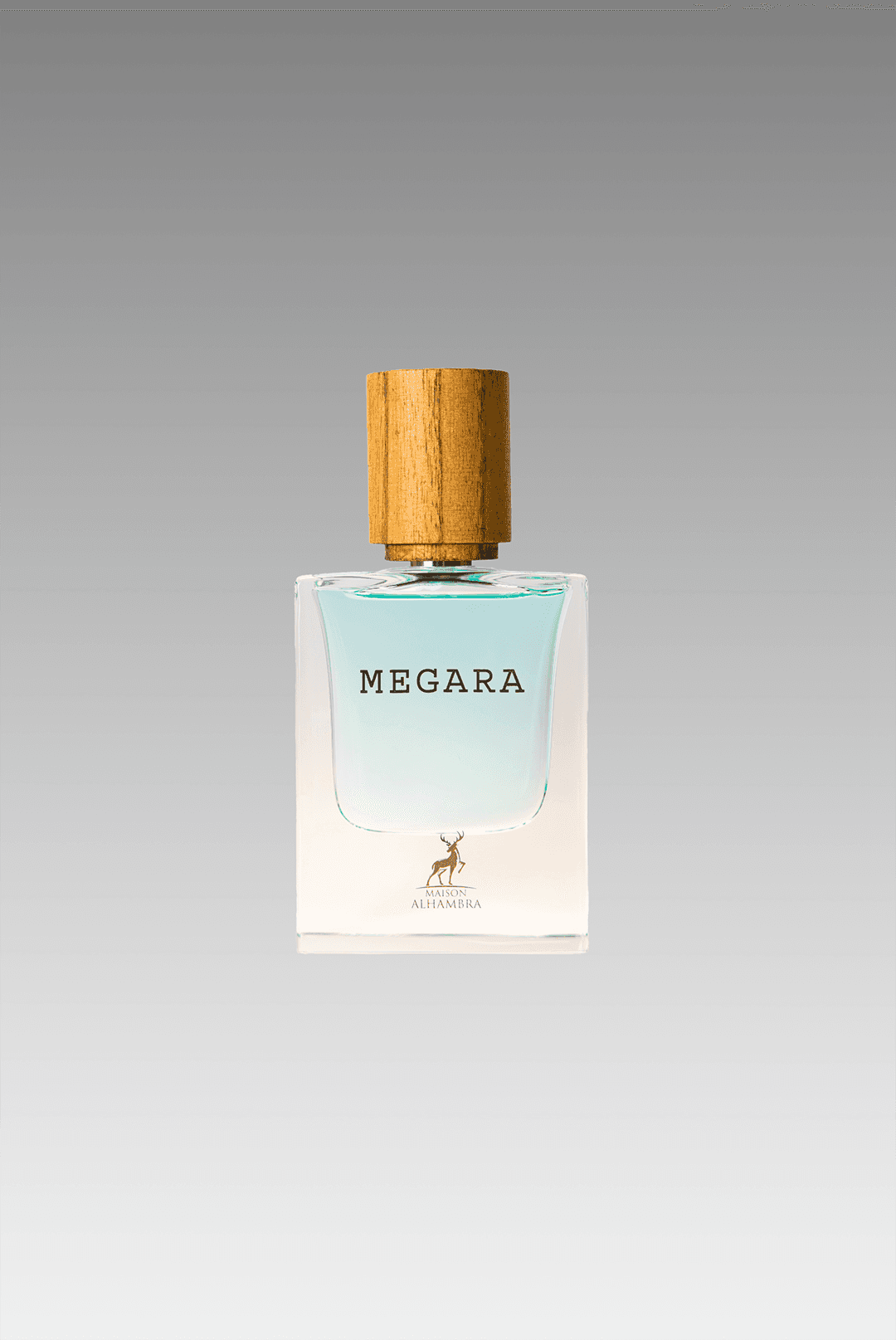 MEGARA