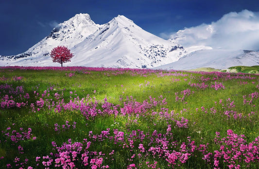 Les parfums inspirés par la nature : une ode à la beauté de notre environnement
