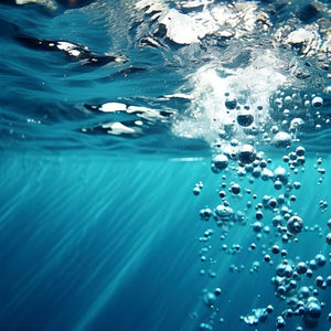 Notes aquatiques