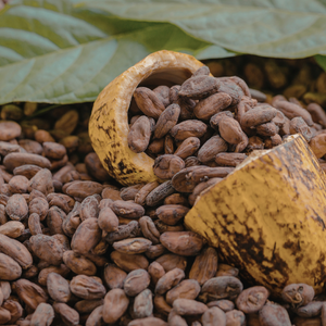 Cacao